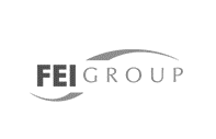 FEI Group
